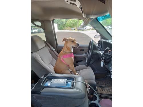 Beige 2005 Chevrolet Avalanche 1500 LS