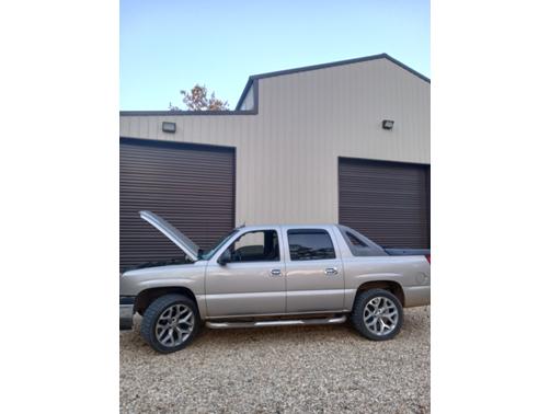 Beige 2005 Chevrolet Avalanche 1500 LS