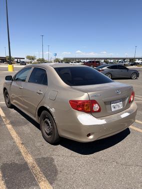 Beige 2010 Toyota Corolla LE