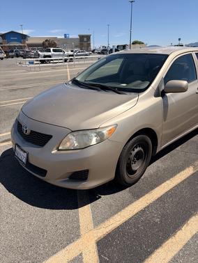 Beige 2010 Toyota Corolla LE