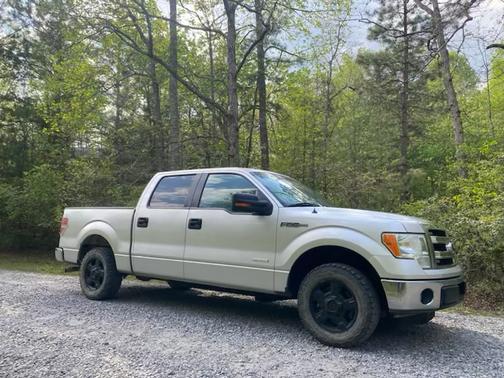 Gray 2013 Ford F-150 XLT