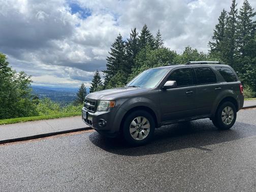 Gray 2010 Ford Escape Limited