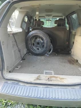 Beige 2007 Ford Freestar SE