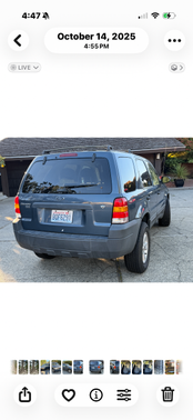 Green 2005 Ford Escape XLT