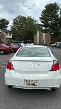White 2010 Honda Accord EX-L