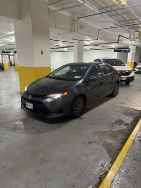 Gray 2019 Toyota Corolla LE