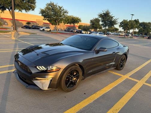 Gray 2019 Ford Mustang EcoBoost