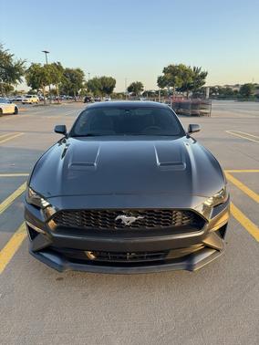 Gray 2019 Ford Mustang EcoBoost