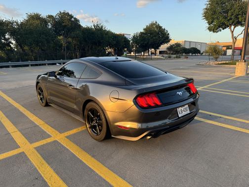 Gray 2019 Ford Mustang EcoBoost