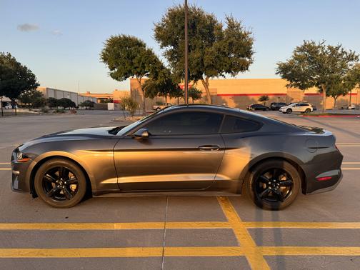 Gray 2019 Ford Mustang EcoBoost