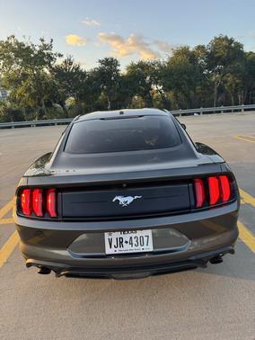 Gray 2019 Ford Mustang EcoBoost