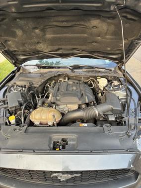 Gray 2016 Ford Mustang EcoBoost