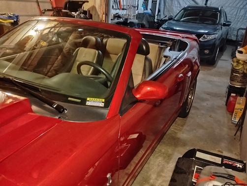 Red 2003 Ford Mustang SVT Cobra