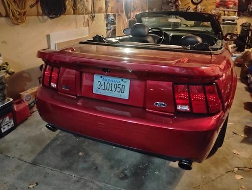 Red 2003 Ford Mustang SVT Cobra