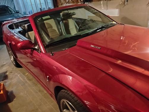 Red 2003 Ford Mustang SVT Cobra