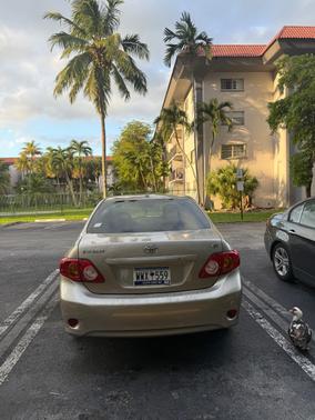 2009 Toyota Corolla LE