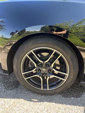 Black 2019 Ford Mustang GT Premium