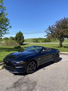 Black 2019 Ford Mustang GT Premium