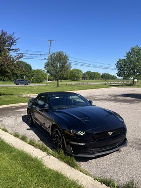 Black 2019 Ford Mustang GT Premium