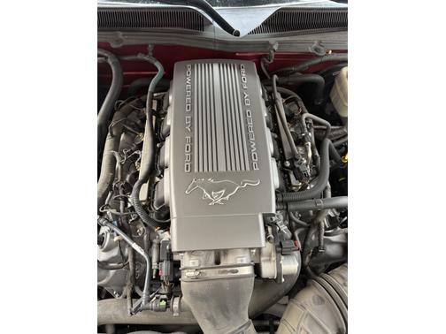 2007 Ford Mustang GT