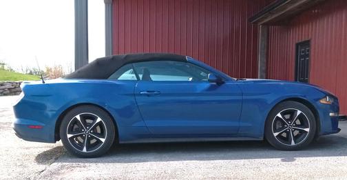 Blue 2018 Ford Mustang EcoBoost