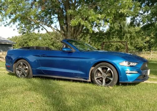 Blue 2018 Ford Mustang EcoBoost