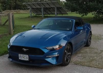 Blue 2018 Ford Mustang EcoBoost