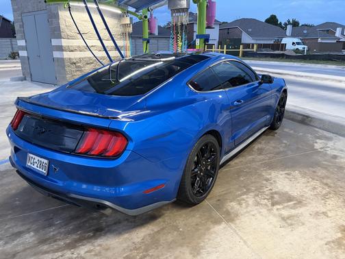 Blue 2020 Ford Mustang EcoBoost