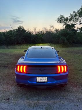 Blue 2020 Ford Mustang EcoBoost