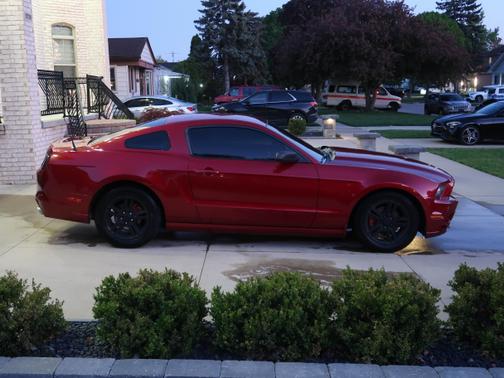 2014 Ford Mustang V6