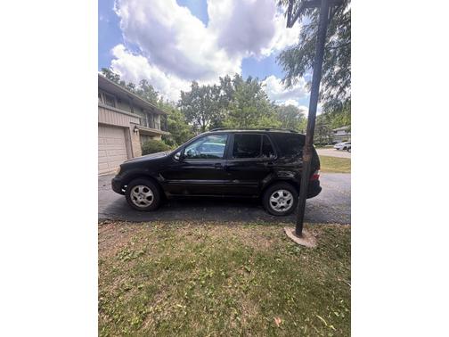 2004 Mercedes-Benz M-Class ML 350 4MATIC