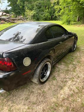 Black 2001 Ford Mustang Bullitt