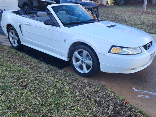 2000 Ford Mustang Base