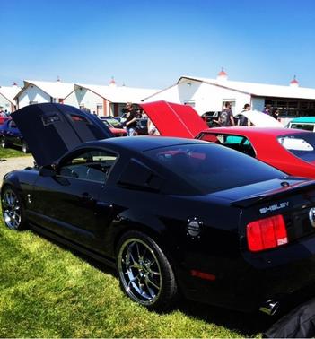 2009 Ford Mustang Shelby GT500