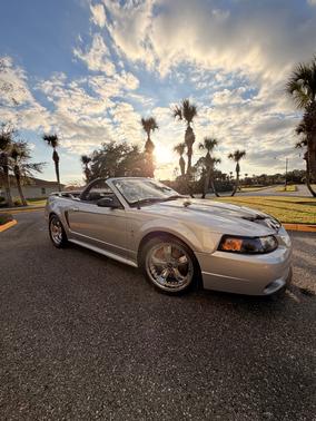 2001 Ford Mustang SVT Cobra