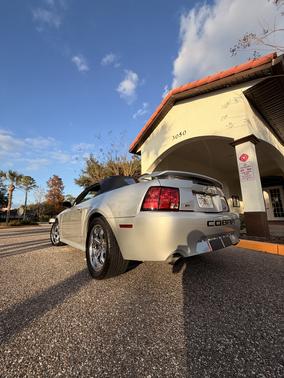 2001 Ford Mustang SVT Cobra