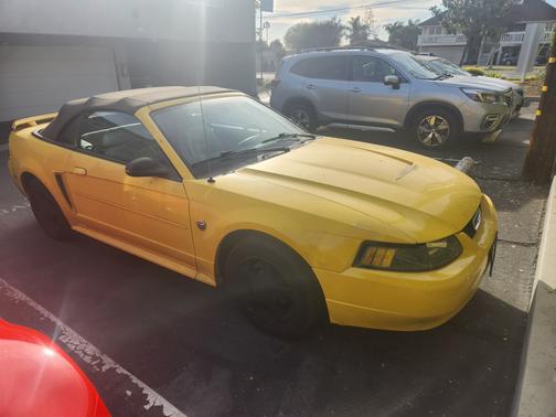 2004 Ford Mustang Base