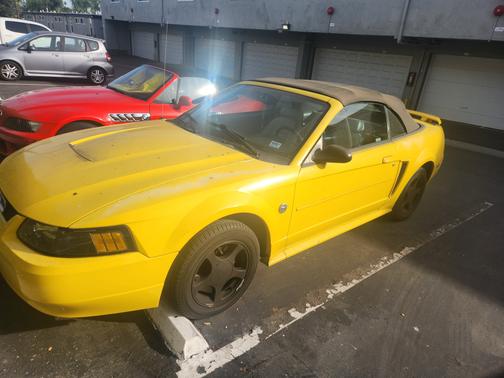 2004 Ford Mustang Base