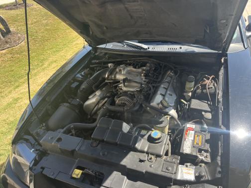 1999 Ford Mustang Cobra