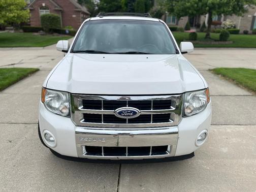 White 2010 Ford Escape Limited