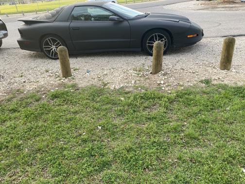 1995 Pontiac Firebird Trans Am