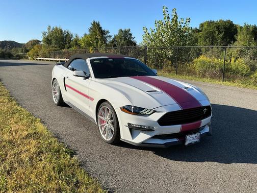 White 2019 Ford Mustang GT Premium