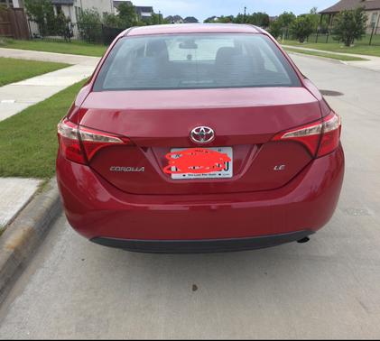 Red 2019 Toyota Corolla LE