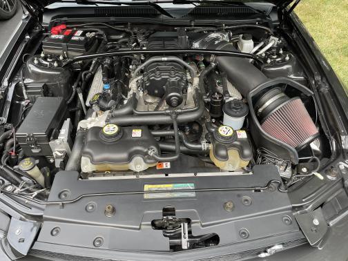 2009 Ford Mustang Shelby GT500