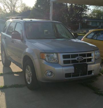 Silver 2010 Ford Escape Hybrid Base