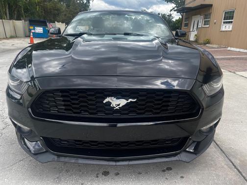 2015 Ford Mustang V6