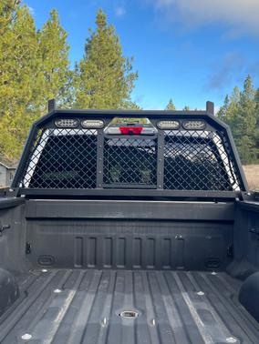 2020 Ford F-350 Platinum