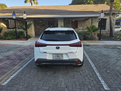 2019 Lexus UX 200 F Sport