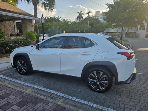 2019 Lexus UX 200 F Sport
