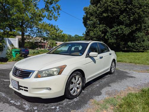 White 2008 Honda Accord EX-L